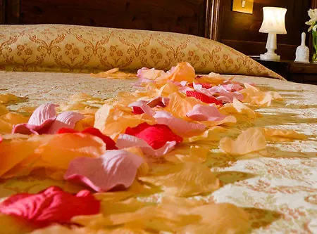 Guest house Residenza Il Poggione Fauglia